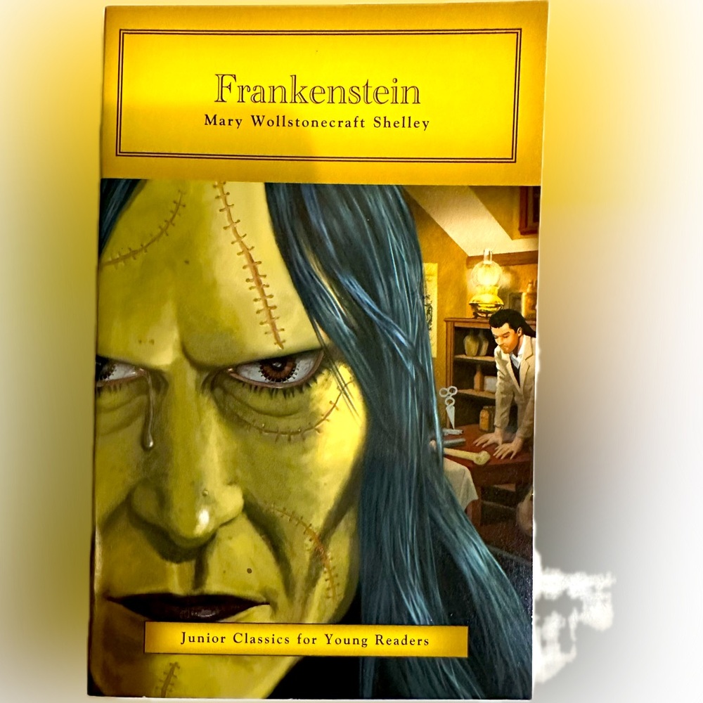 2012 FRANKENSTEIN MARY WOLLSTONECRAFT SHELLEY JUNIOR CLASSICS YOUNG READERS BOOK